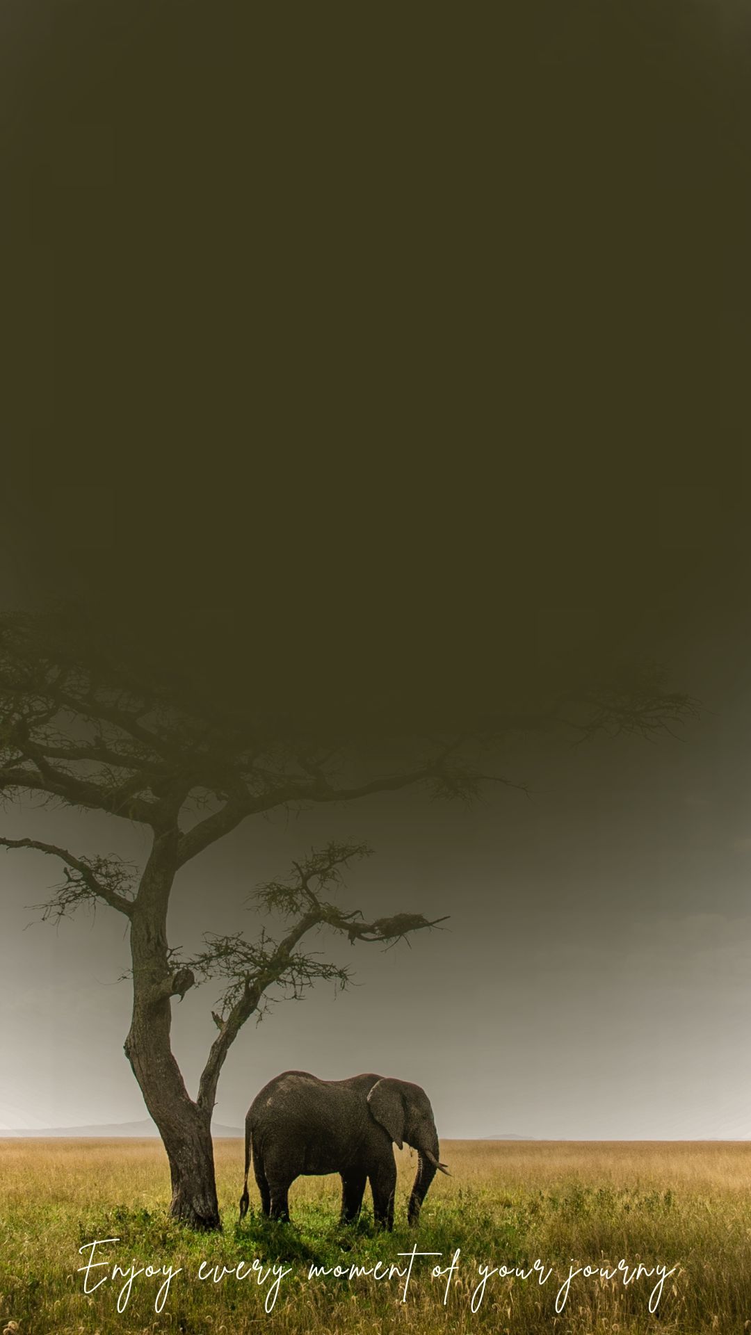 Wilderness Quest